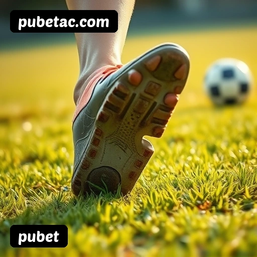 Imagem secundária de apoio para instalação do app pubet